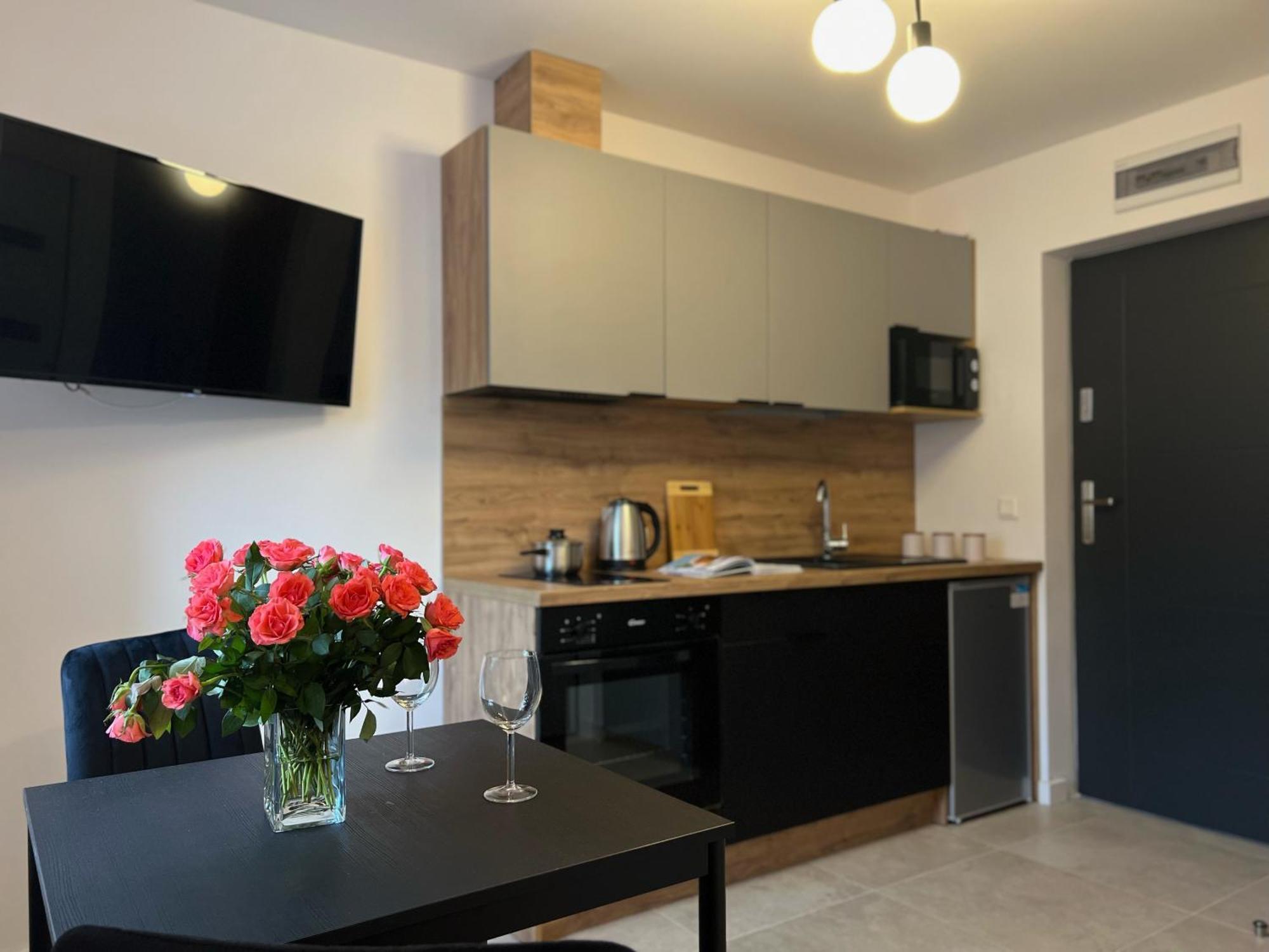 Apartment Parkcity Bogucice