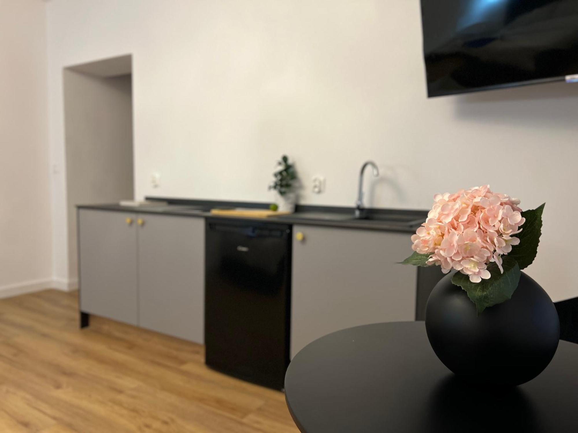 Apartment Parkcity Bogucice *